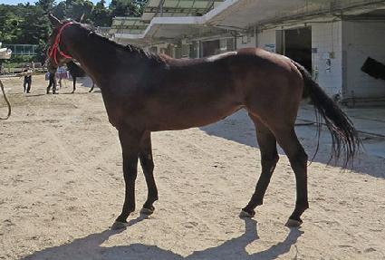 ����ٸ�� ����