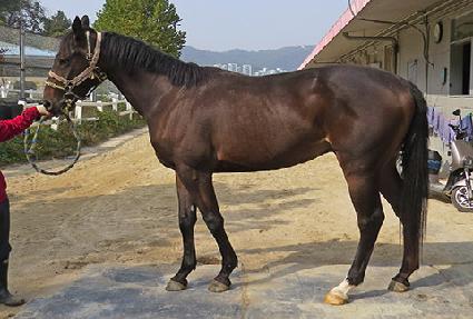 ���̾𸶽�ũ ����