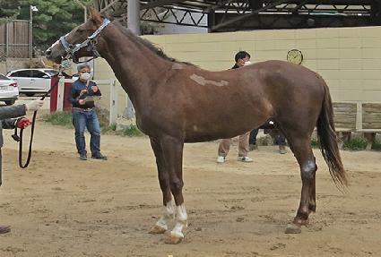 ���Ǵ� ����