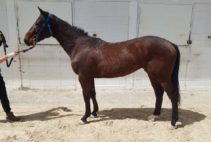 ��ǳ���� ����