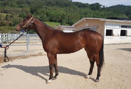 �վƵ��� ����