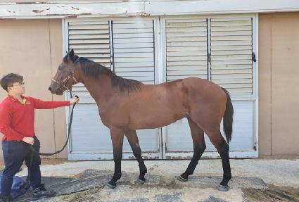 ū�ູ ����