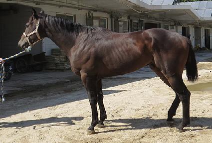 ��Ű�� ����