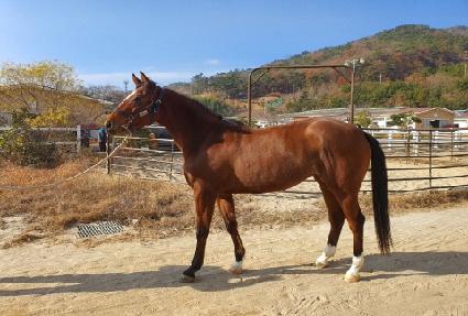 ��ŷ��Ÿ ����