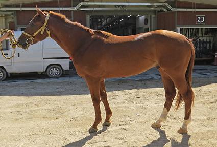 �ǳȣ ����