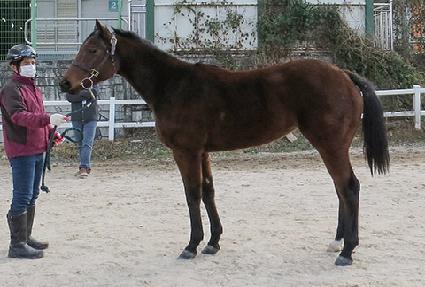 �����Ŀ ����