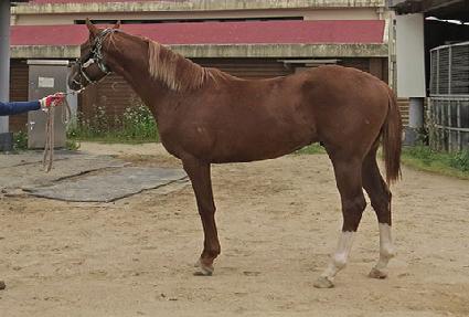 ŷ�ɹ� ����