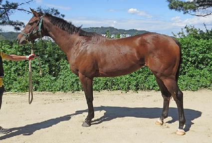 ����Ʈ���Ǽ� ����