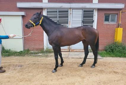 �ְ��ϼ� ����