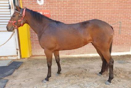 �ݹ��� ����