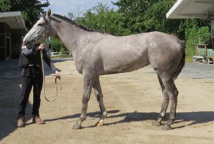 �����޻� ����