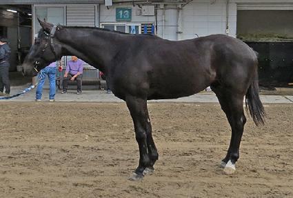 ���Ϲ븮�긮 ����