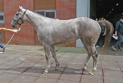 ��Ҹ� ����