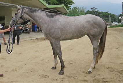 �ż���� ����