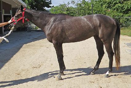 �����Ŀ� ����