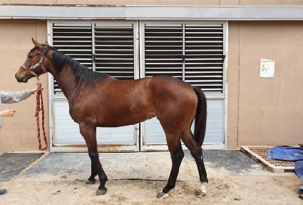 �����Ǻ� ����