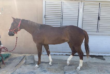 ���갡�� ����