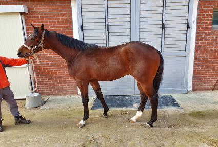 Ȧ������ ����