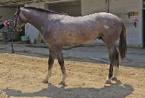 JEONGMUN CHOEGANG picture