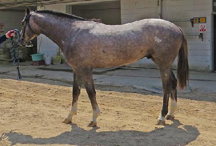 �����ְ� ����