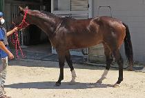 �����ѳ� (CHALLAN HANNAL) ����