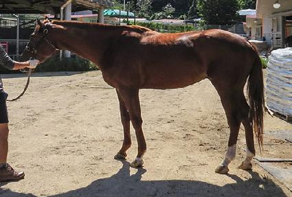 ���ǳ��� ����