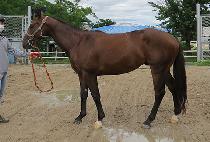 �̽�Ʈ���� (EAST JILJU) ����