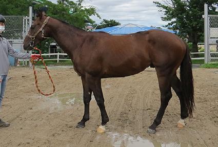 �̽�Ʈ���� ����