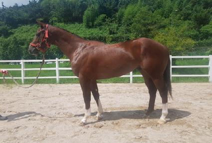 �ְ���½ ����