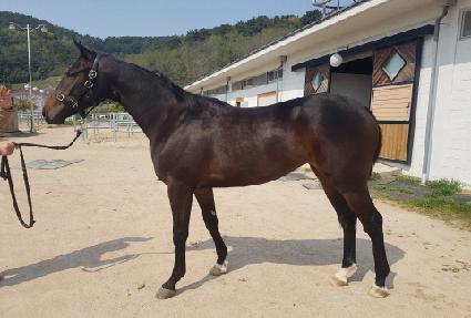 �����Ǳ��� ����