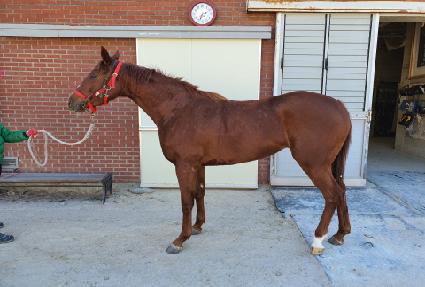 ��������Ƽ ����