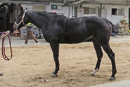 �ָ��ǽ��� ����