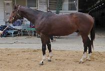 �����Ǻ��� (JEJUI BOSEOK) ����