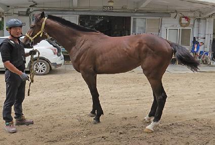 �������� ����