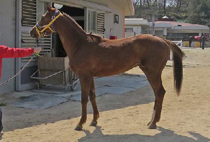 �����ڵ� ����