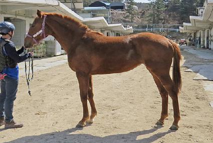 �ǿ������� ����