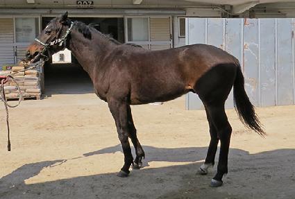 �������̷� ����