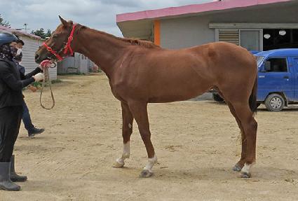 ��彺����ũ ����