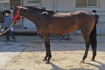 �Ӵϰ��� ����