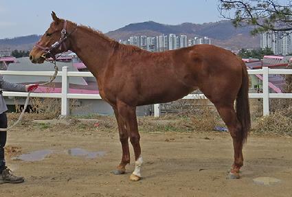 �ݺ������� ����