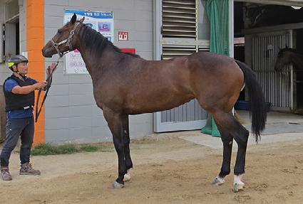 ����ũ��Ʈ ����