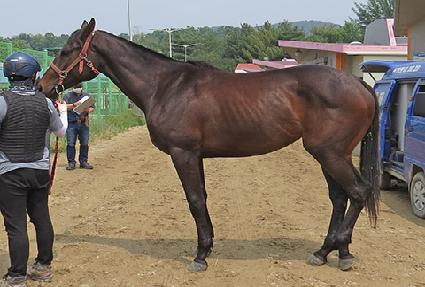 ������ ����