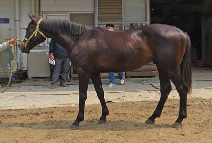 ��������� ����