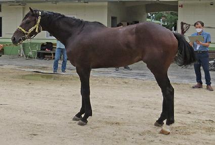 �׷���Ʈ���� ����