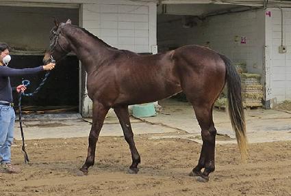 ����ŷ ����