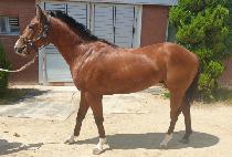 �������ϵ�� (TWO TWO WILD THING) ����