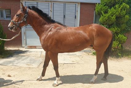 �������ϵ�� ����