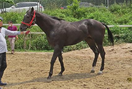 �������� ����