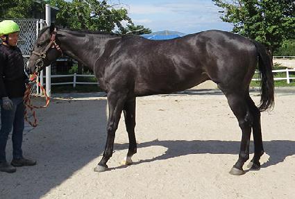 ������ ����