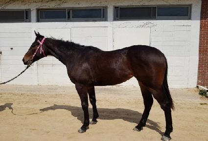 ����̺��� ����